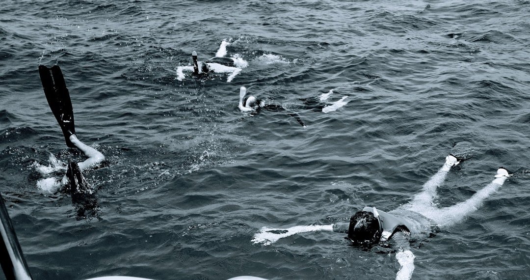 snorkel equipment ocean water