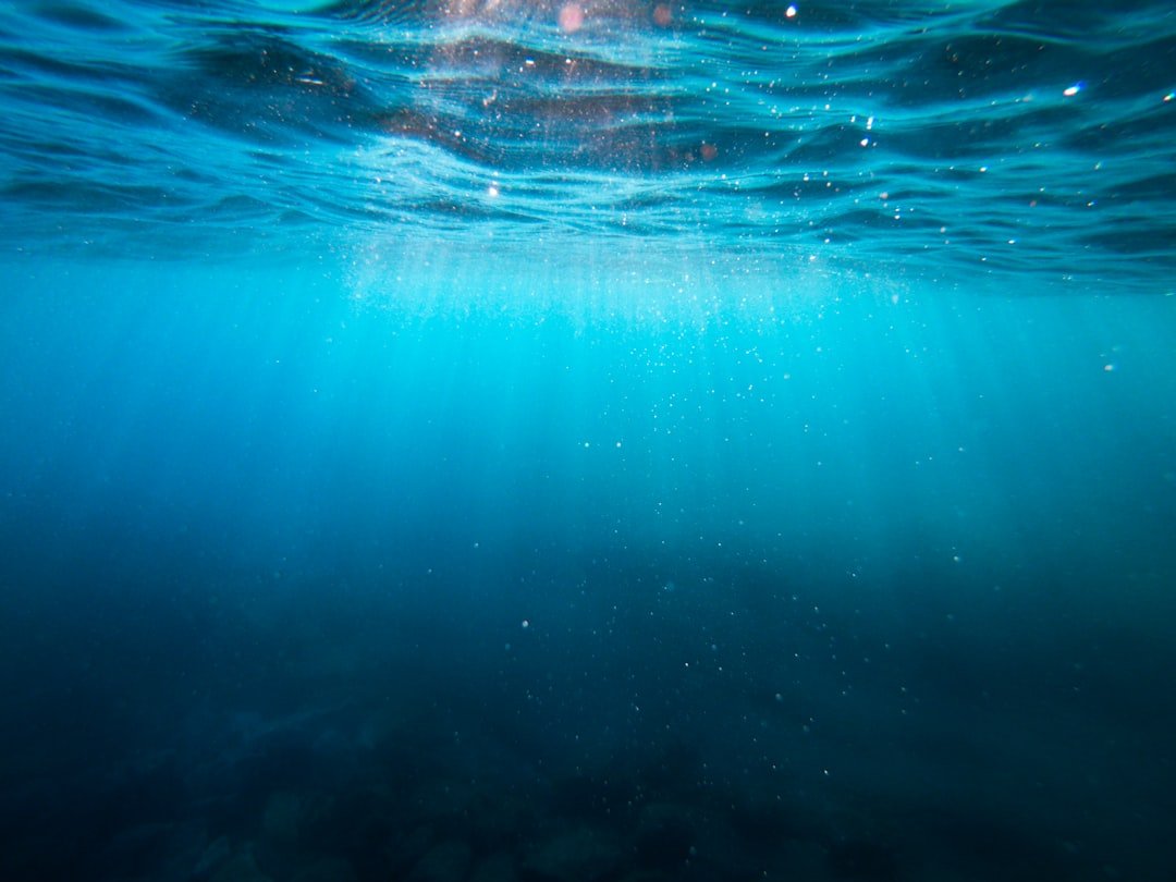 Underwater Lighting for GoPro Diving: Best Lights for Color Correction in 2026