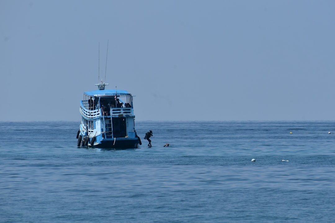shark diving liveaboard boat ocean