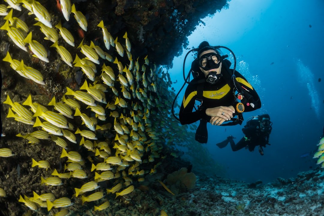 diving watch underwater sports