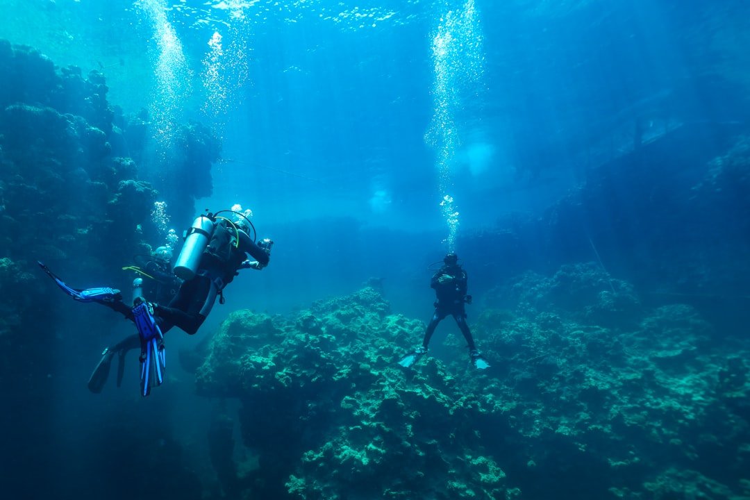 cold water diving underwater scenery