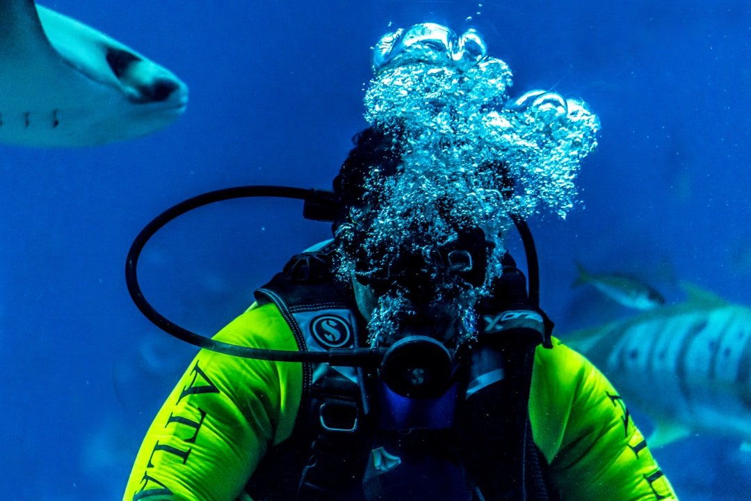 scuba dive logbook