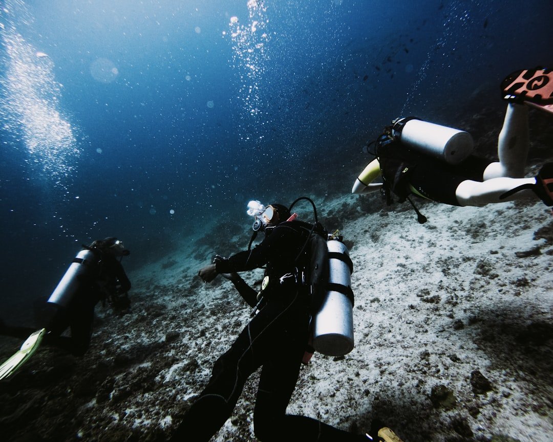 scuba regulator underwater