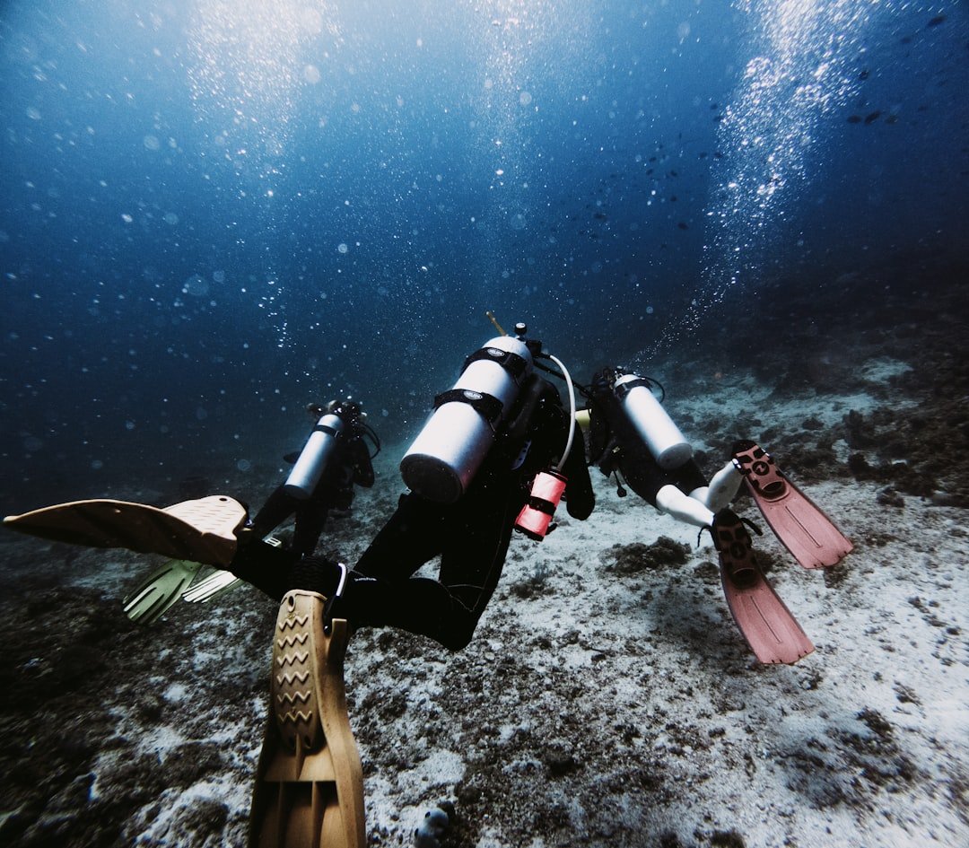 backplate wing harness underwater