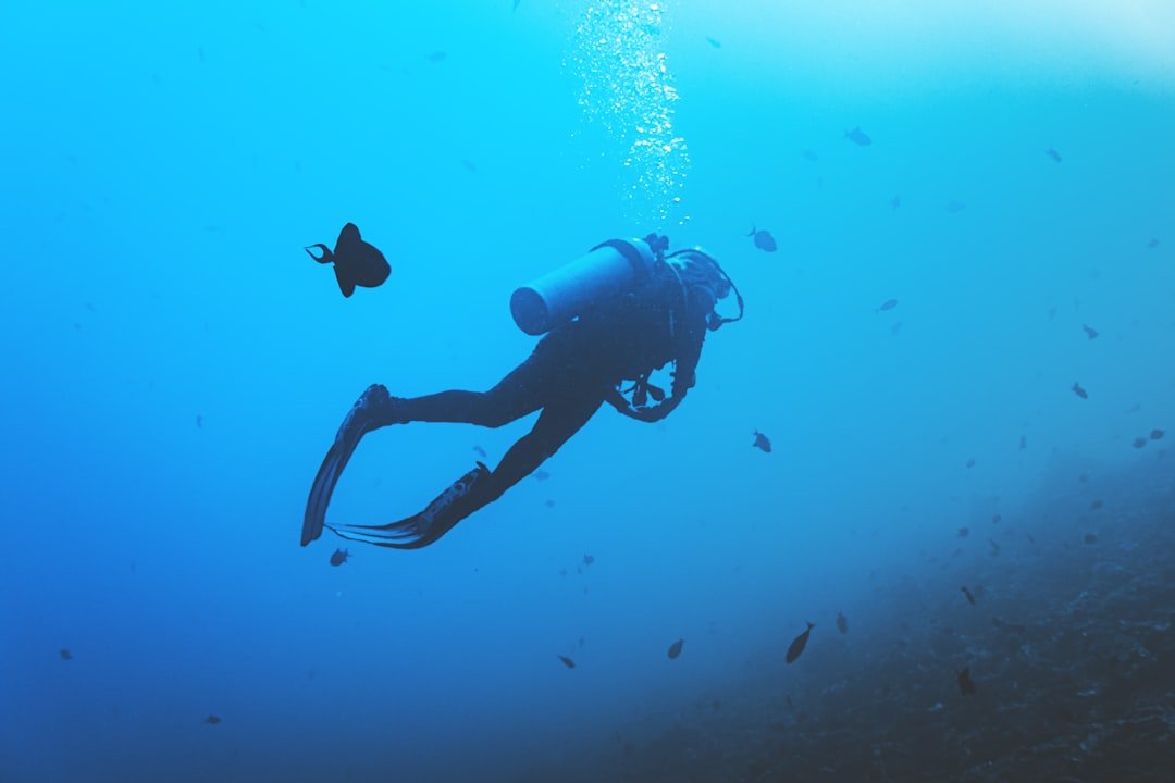 scuba diving equipment gear