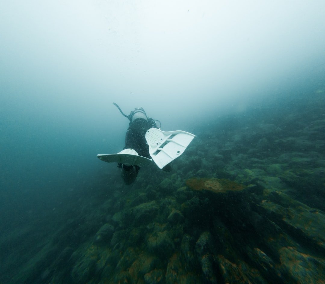 scuba fins underwater