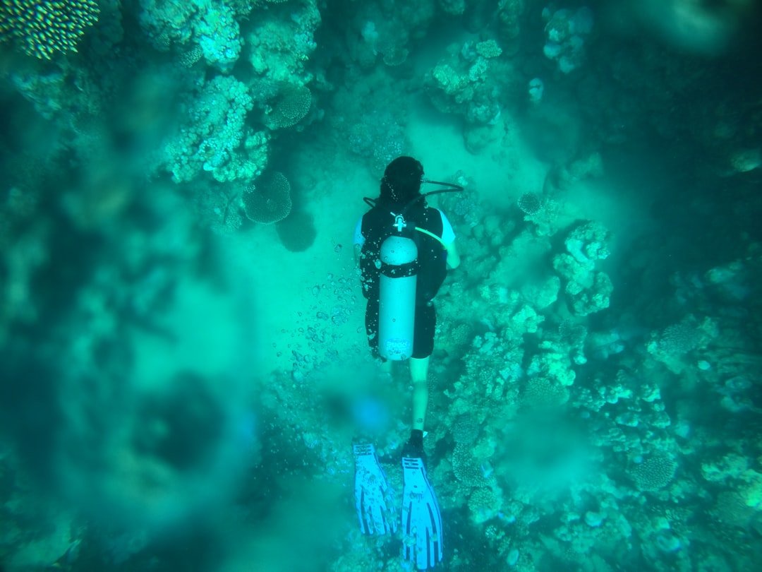 scuba diver underwater ocean