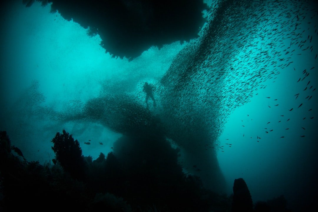 Underwater photography lighting techniques for beginners