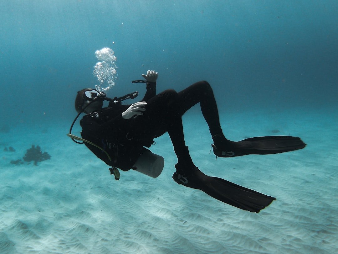 scuba diving buoyancy control device