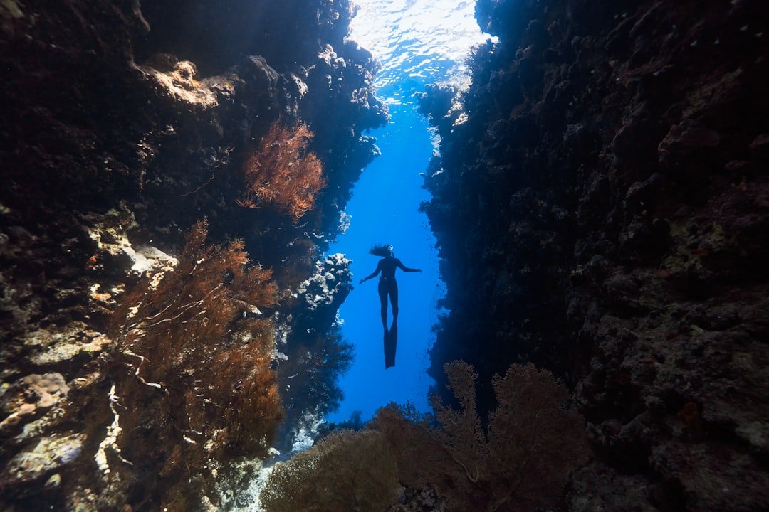 diver posing underwater reef