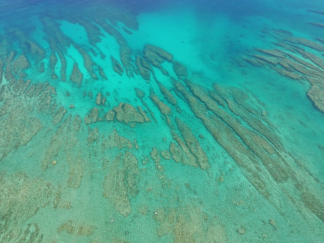 tropical coral reef shallow water