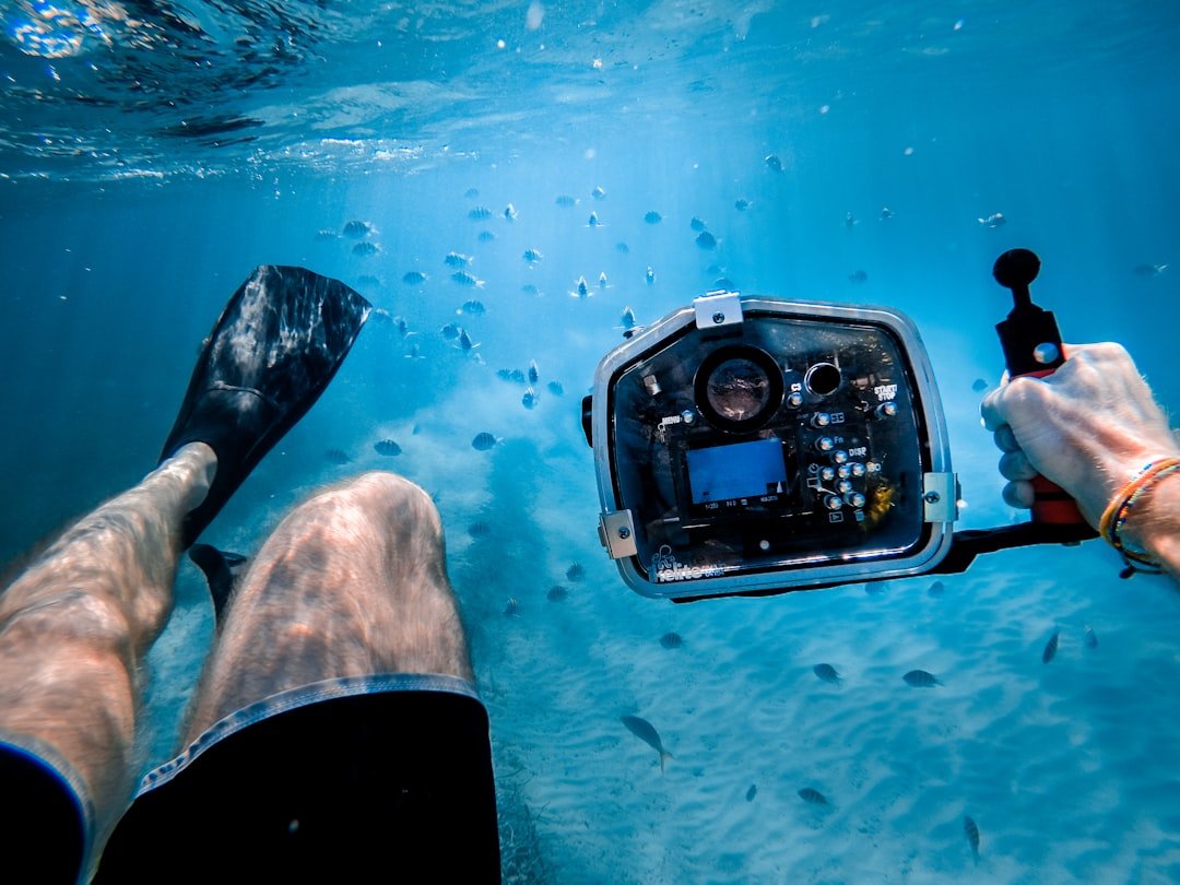 underwater camera lights equipment
