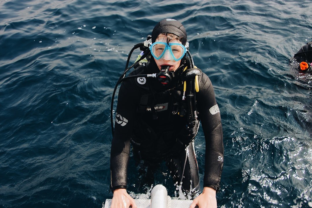 divemaster certification progression chart