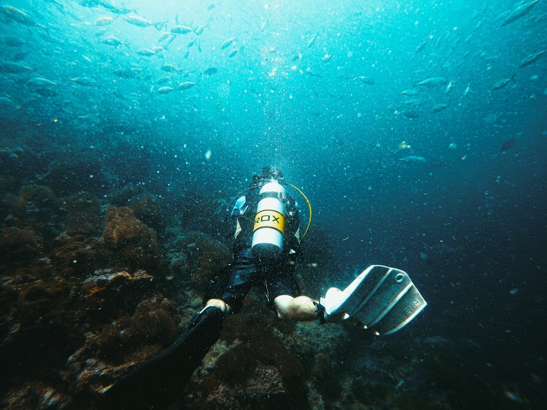 wrist mounted dive computer underwater