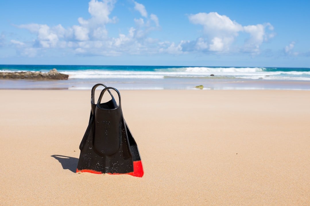 compact scuba fins
