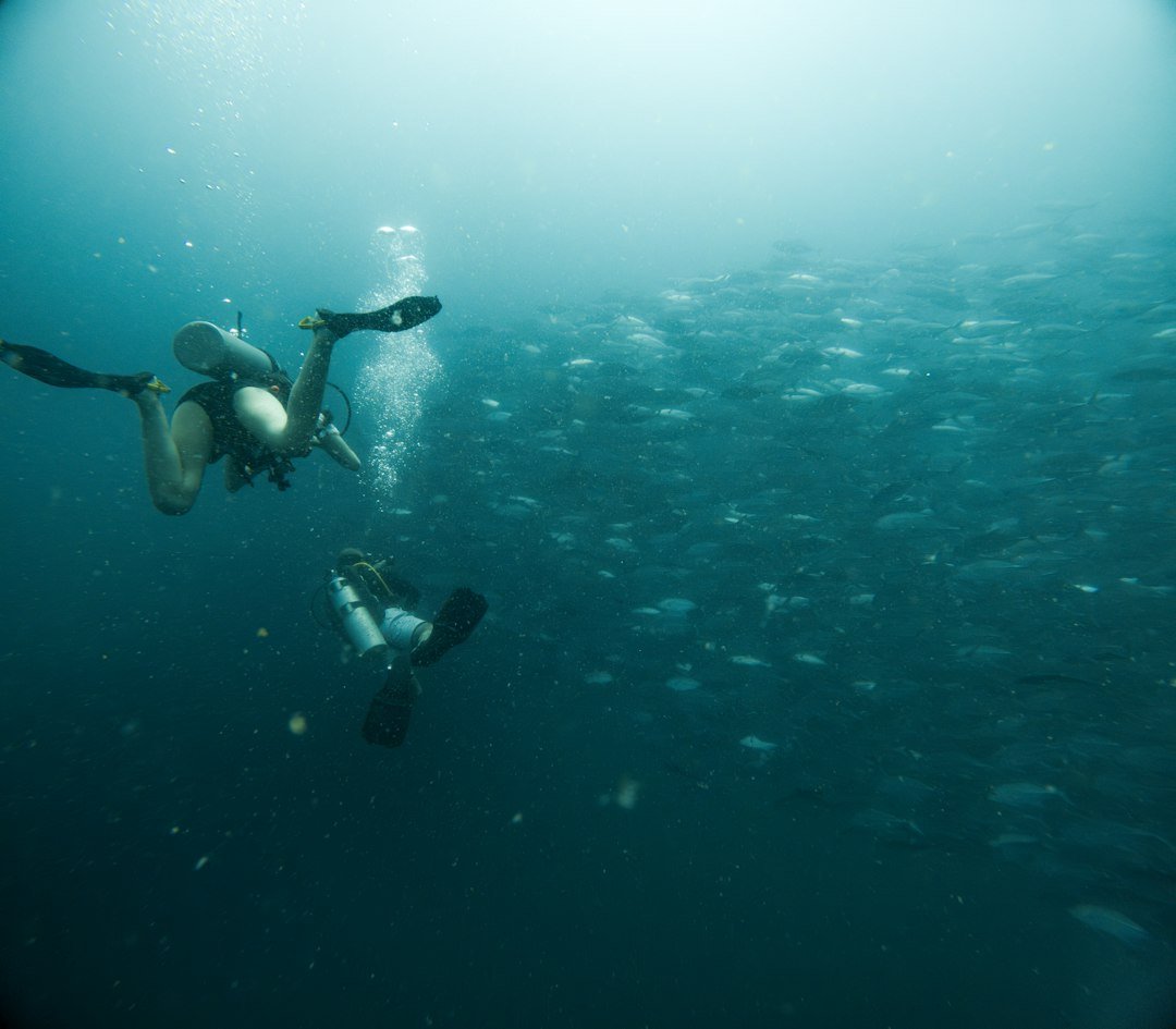dive computer underwater equipment