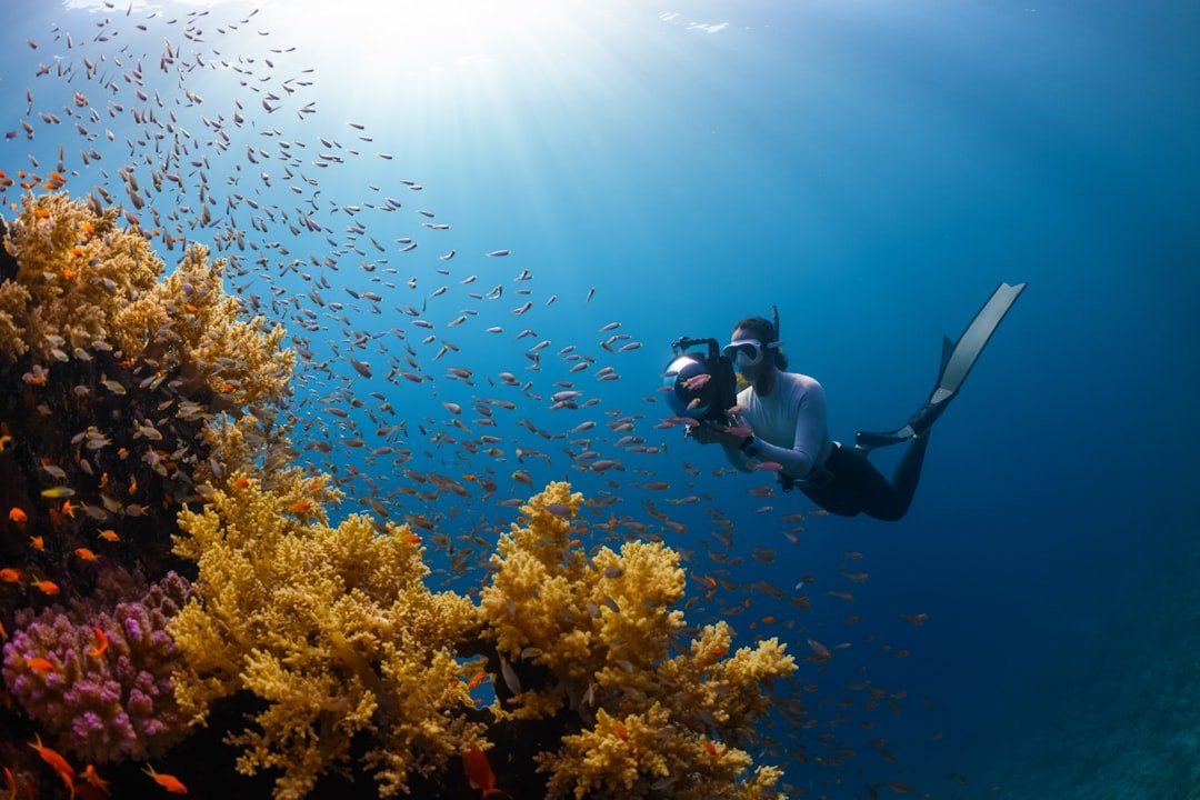 scuba diver underwater ocean