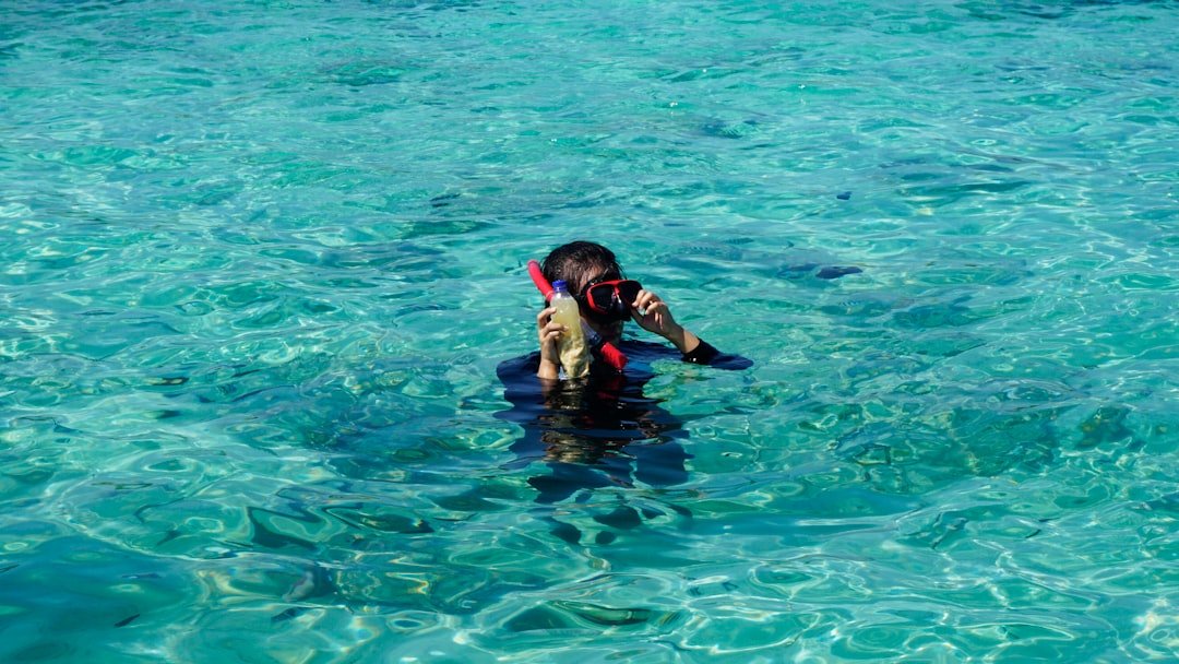 wetsuit comparison tropical water