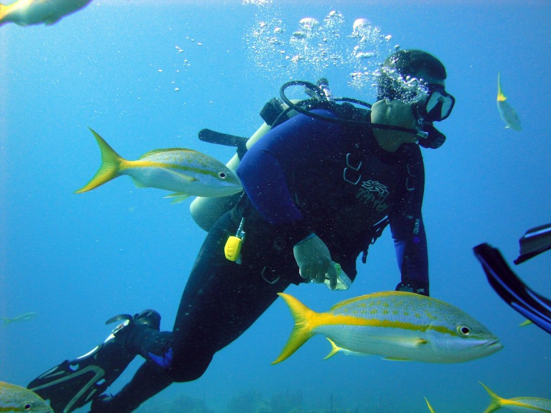 scuba diving buoyancy compensator