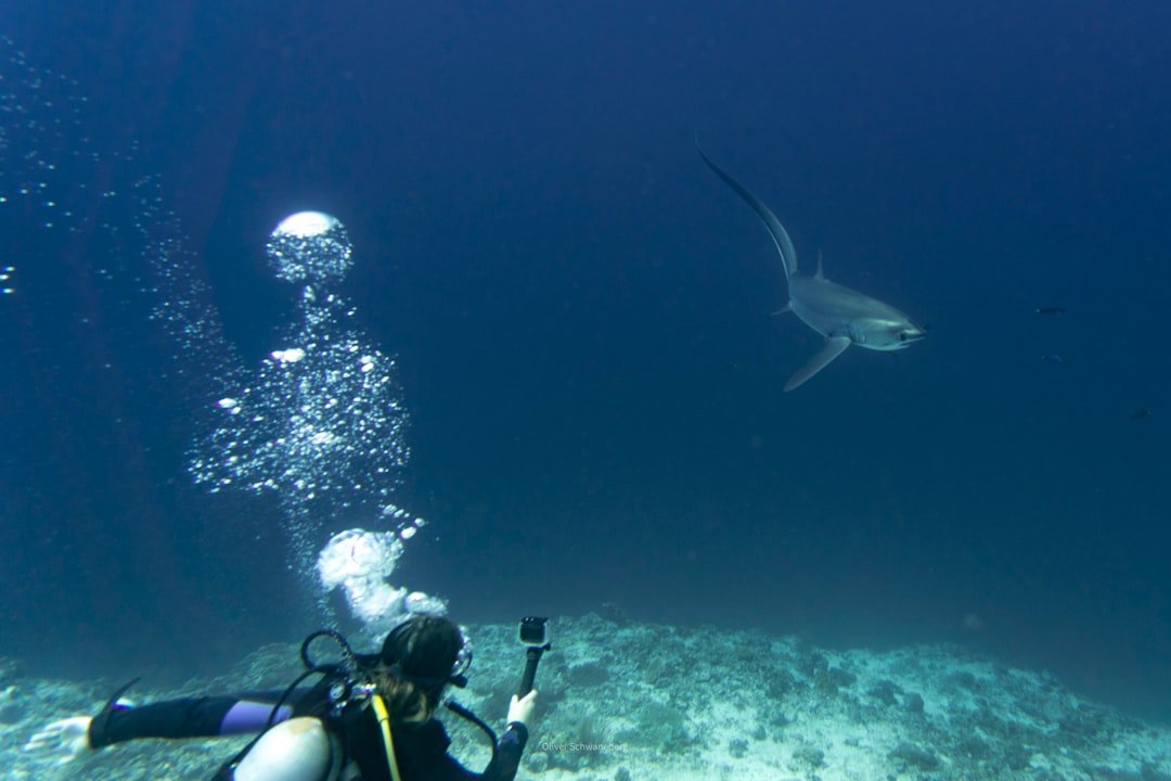underwater camera diving footage