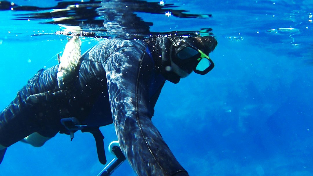 spearfishing equipment underwater