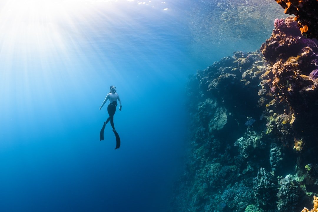 diver ascending underwater