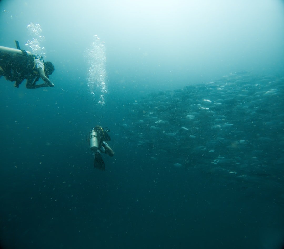 scuba oxygen tanks underwater