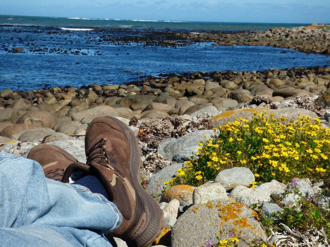 rocky shore dive boots