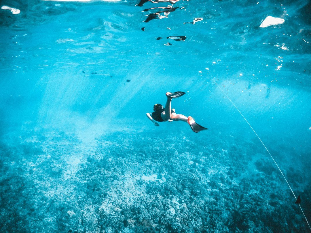 scuba diver underwater