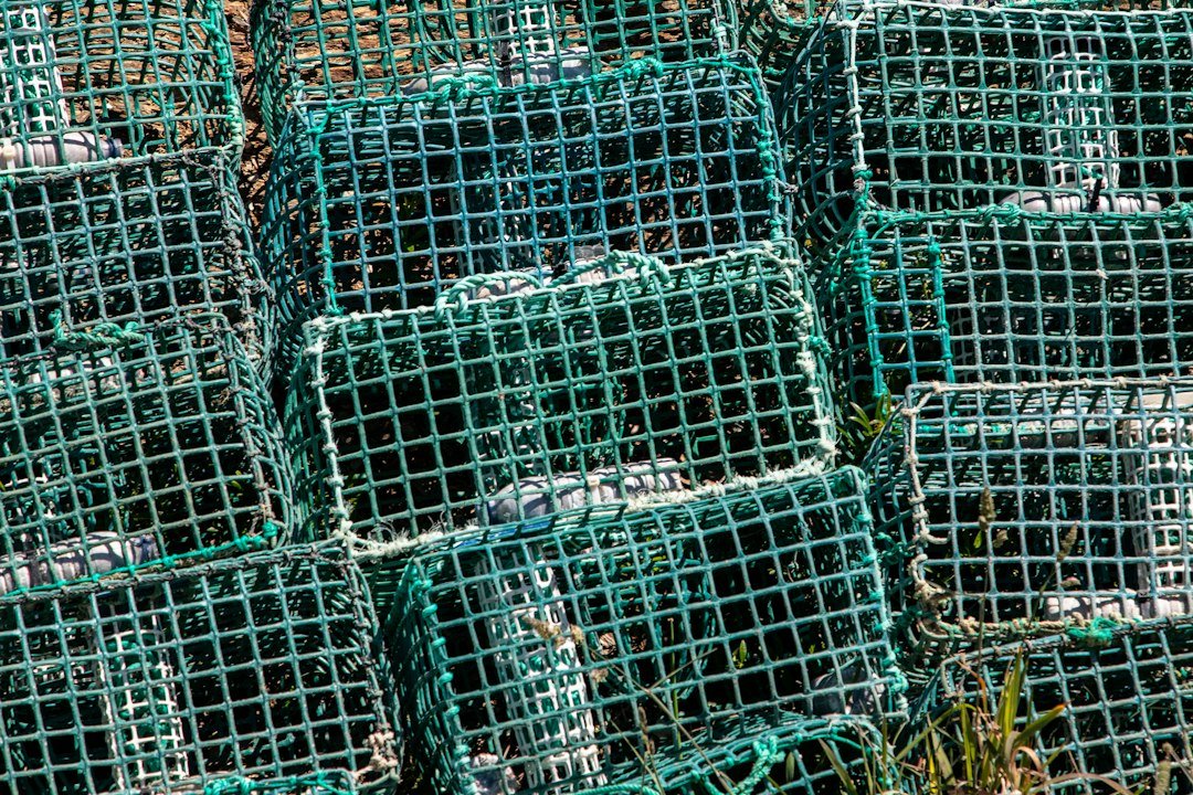 mesh gear bag underwater equipment